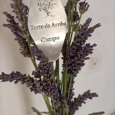 Torre De Arriba *